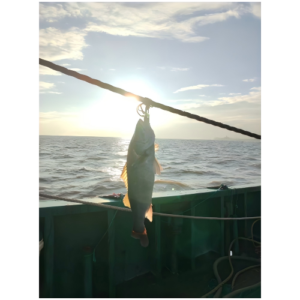 CNC EXPERT TEAM-SHENCHI MANAGEMENT TEAM GO FISHING